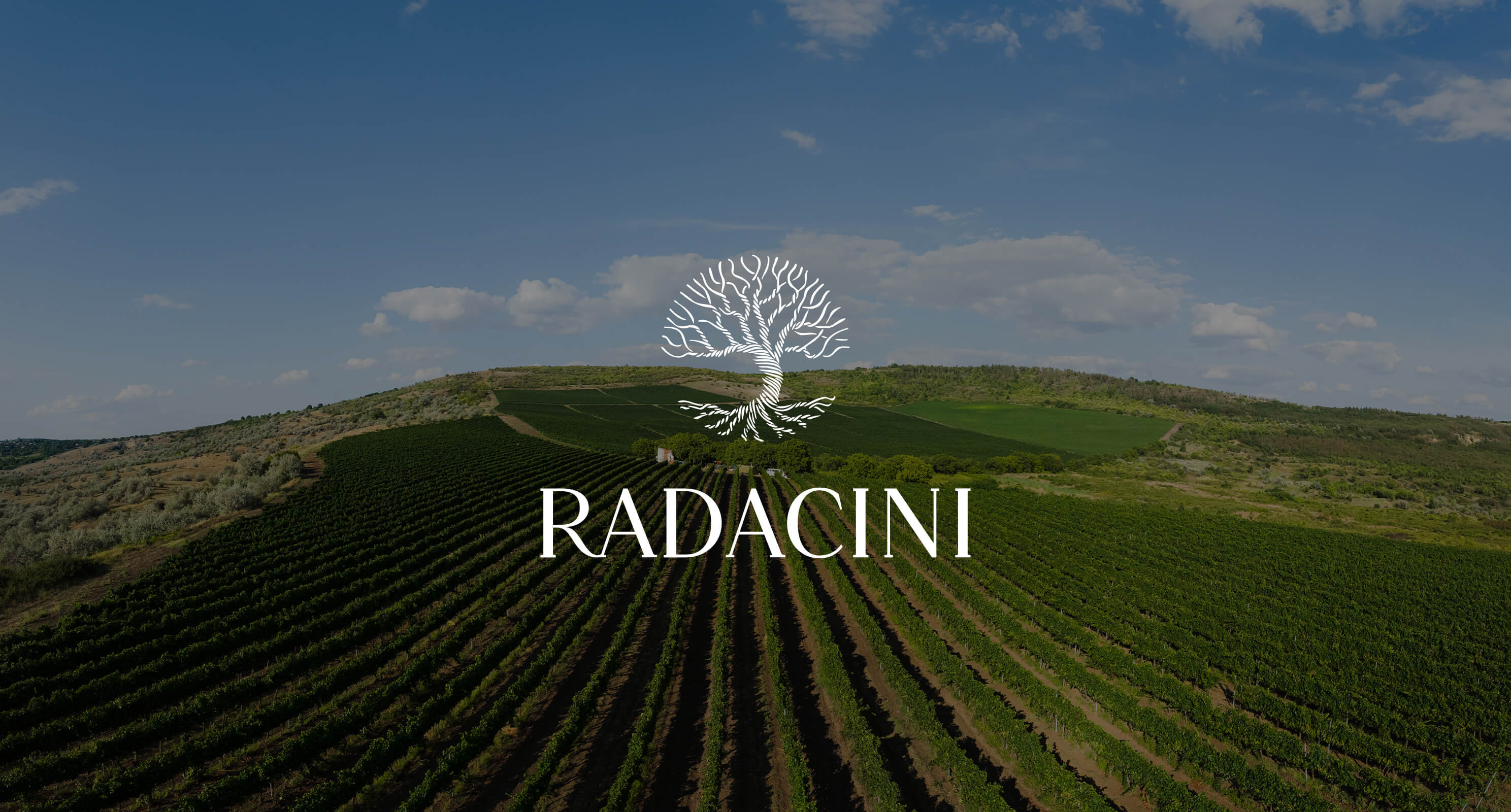 Radacini